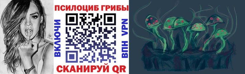 Псилоцибиновые грибы Cubensis  Лаишево 