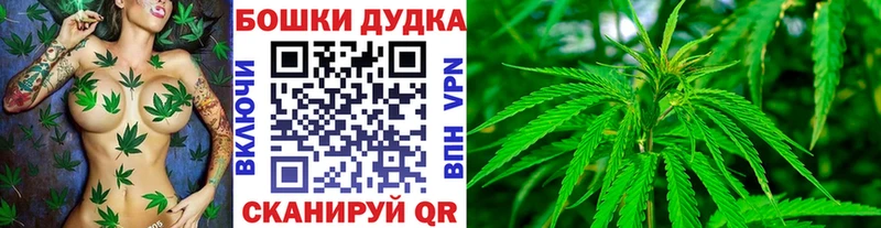 Канабис конопля Лаишево